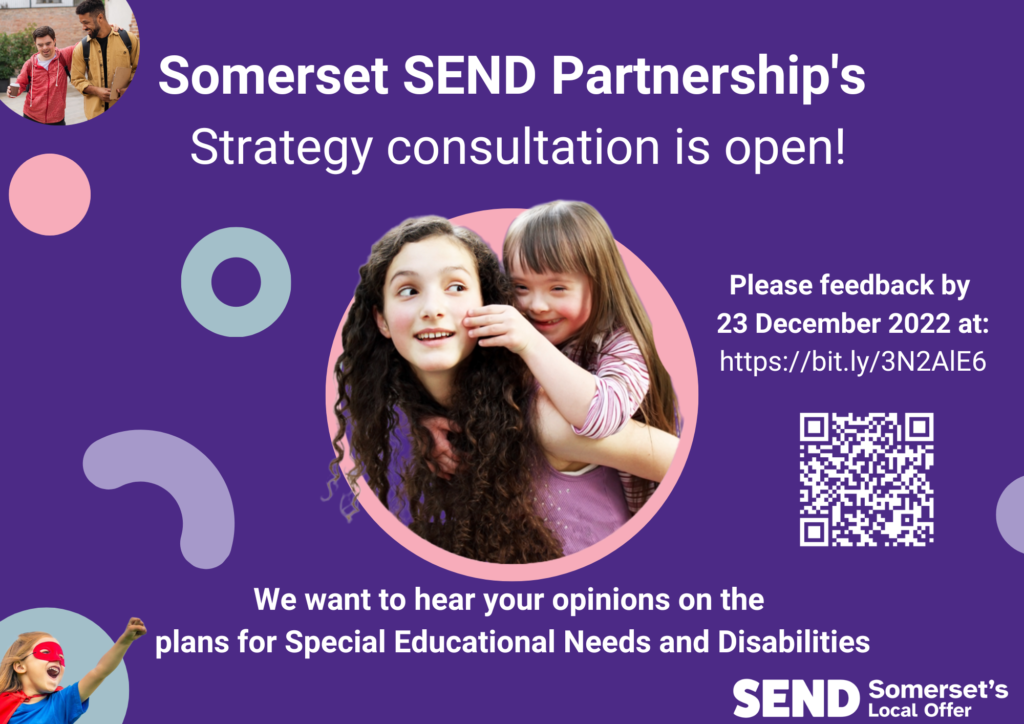 Somerset SEND Partnership SEND Strategy consultation is open (4)